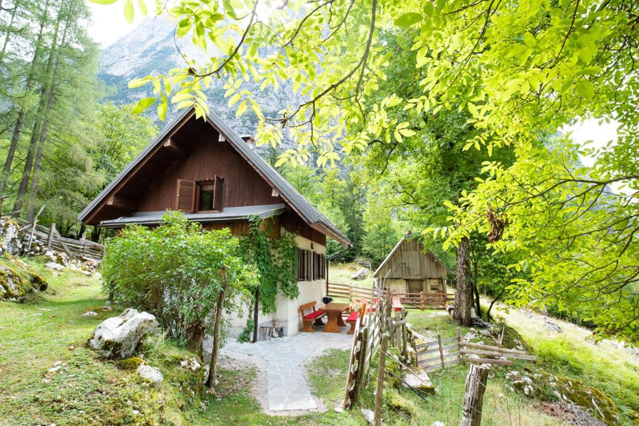 Villa Alpine House Antonia Trenta Exterior foto