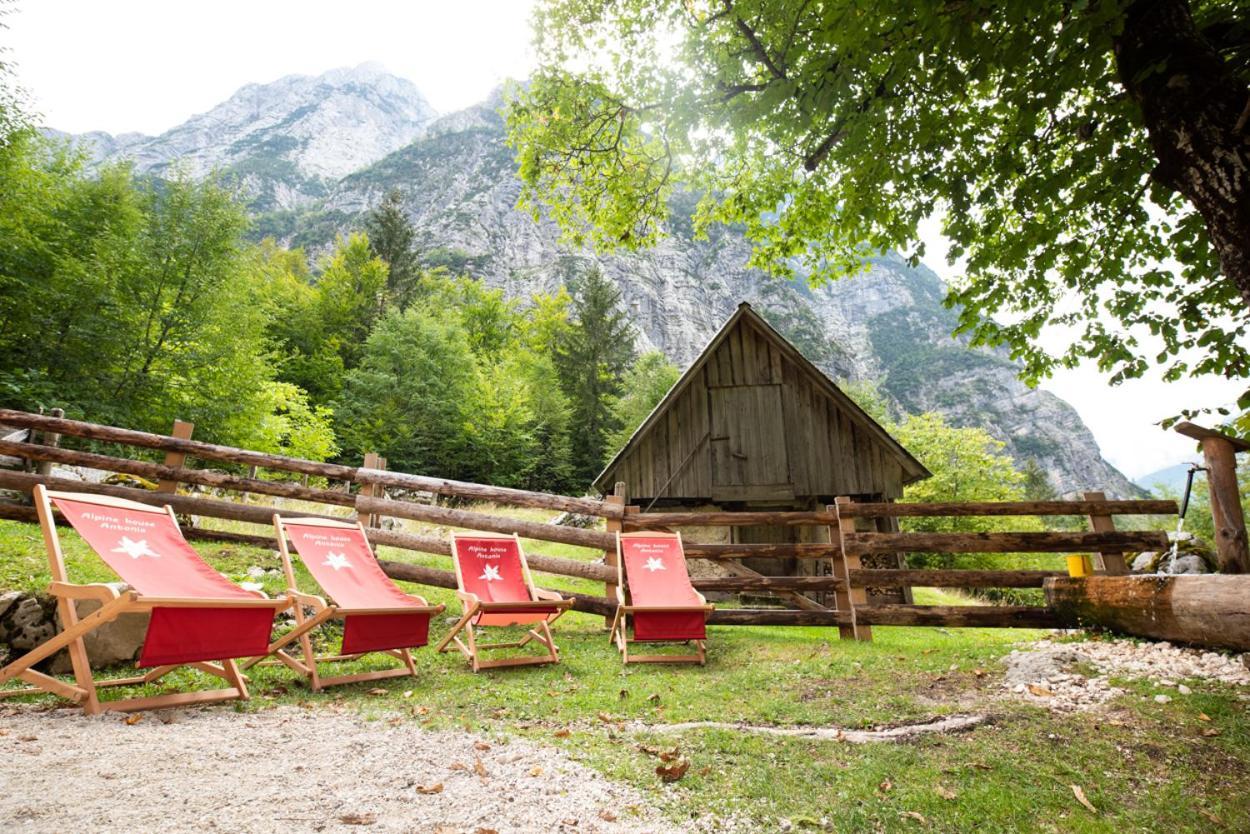 Villa Alpine House Antonia Trenta Exterior foto