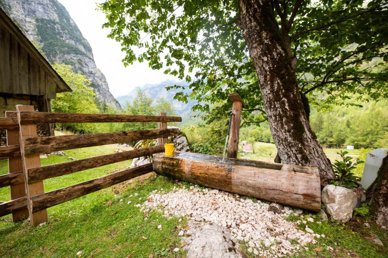 Villa Alpine House Antonia Trenta Exterior foto